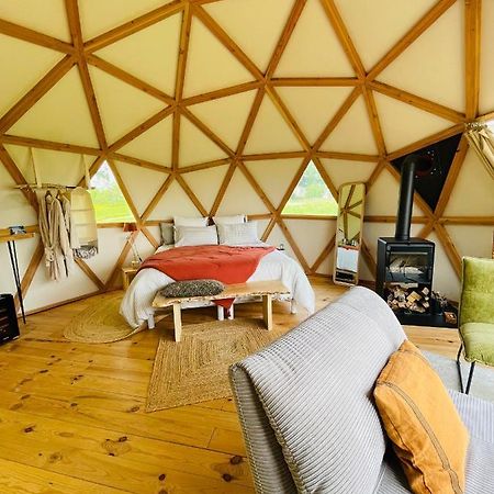 Dome Insolite Cedre Jacuzzi Et Petits Dejeuners Inclus Lagraulet-du-Gers Eksteriør billede