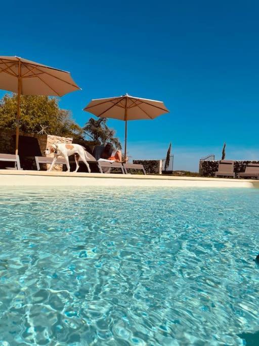 Dome Insolite Cedre Jacuzzi Et Petits Dejeuners Inclus Lagraulet-du-Gers Eksteriør billede