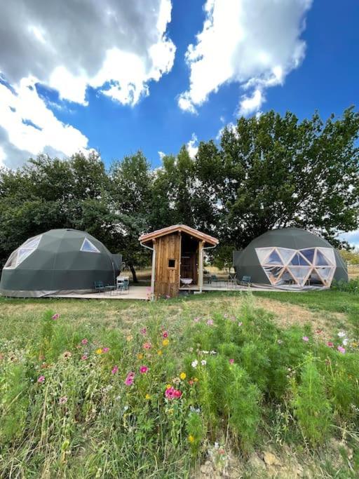 Dome Insolite Cedre Jacuzzi Et Petits Dejeuners Inclus Lagraulet-du-Gers Eksteriør billede