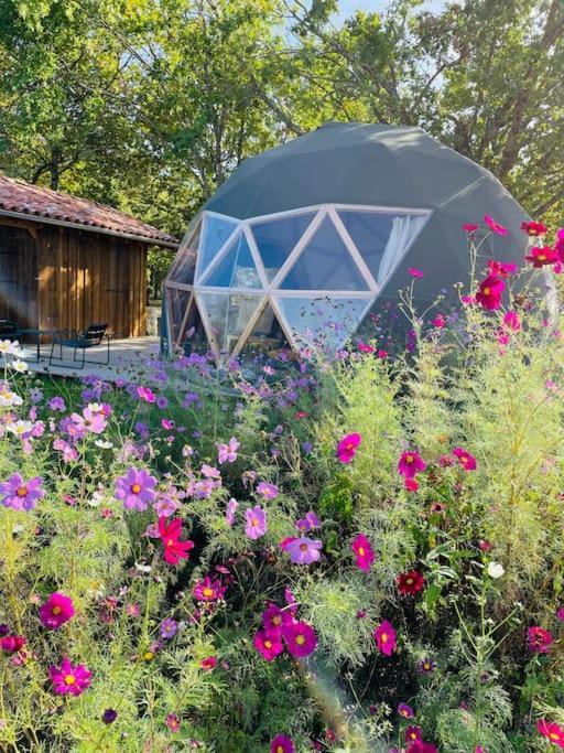 Dome Insolite Cedre Jacuzzi Et Petits Dejeuners Inclus Lagraulet-du-Gers Eksteriør billede