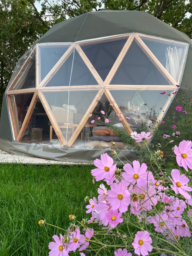 Dome Insolite Cedre Jacuzzi Et Petits Dejeuners Inclus Lagraulet-du-Gers Eksteriør billede