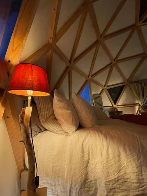 Dome Insolite Cedre Jacuzzi Et Petits Dejeuners Inclus Lagraulet-du-Gers Eksteriør billede